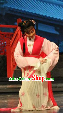 Chinese Shaoxing Opera Young Lady Apparels From Love to Patriotism Deliver the Messenger Costumes and Hair Accessories Yue Opera Xiaodan Dress Garment