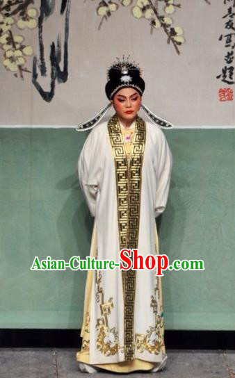 Chinese Yue Opera Official Robe Costumes and Headwear Xun An Zhan Fu Shaoxing Opera Xiaosheng Garment Scholar Xu Qing Apparels