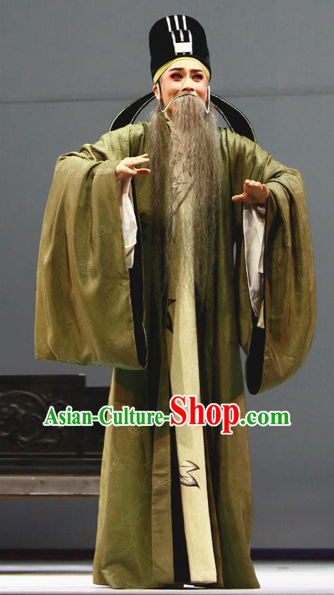 Liu Yong Chinese Yue Opera Elderly Man Garment and Headwear Shaoxing Opera Lao Sheng Costumes Apparels Old Man Official Clothing