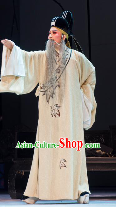 Chinese Yue Opera Elderly Male White Robe Garment and Headwear Shaoxing Opera Lao Sheng Costumes Apparels Poet Clothing