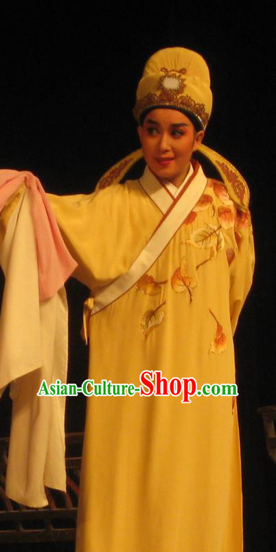 Chinese Yue Opera Young Scholar Pan Bizheng Robe Costumes and Headwear Dao Guan Qin Yuan Shaoxing Opera Xiaosheng Garment Apparels