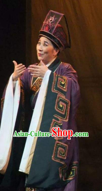 Chinese Yue Opera Han Feizi Elderly Male Costumes Apparels Clothing and Headwear Shaoxing Opera Chou Role Eunuch Zhao Gao Garment