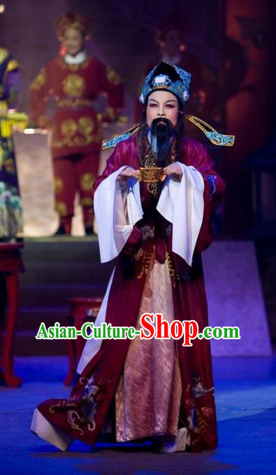 The Number One Scholar Is Not Love Chinese Yue Opera Official Clothing Costumes and Headwear Shaoxing Opera Laosheng Apparels Elderly Male Tang Bailing Garment