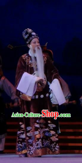 Chinese Yue Opera Official Costumes and Hat Emperor and the Village Girl Shaoxing Opera Elderly Man Garment Apparels Embroidered Robe