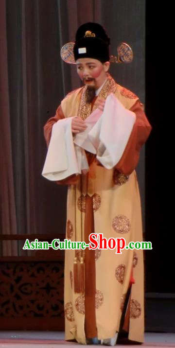 Chinese Yue Opera Chou Role Costumes and Headwear Emperor and the Village Girl Shaoxing Opera County Magistrate Garment Apparels