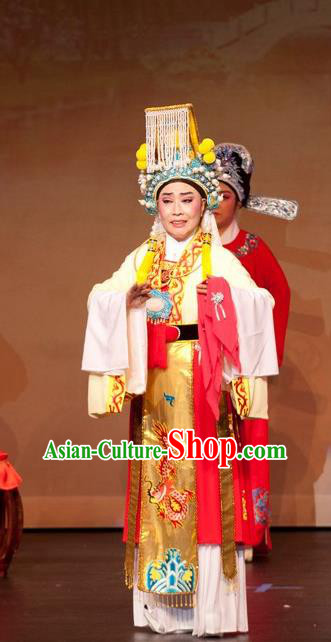 Chinese Yue Opera Emperor and the Village Girl Costumes and Headwear Shaoxing Opera Young Male Xiaosheng Garment Apparels