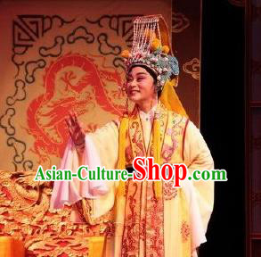 Chinese Yue Opera Young Male Embroidered Robe Emperor and the Village Girl Garment and Headwear Shaoxing Opera Xiaosheng Apparels Costumes