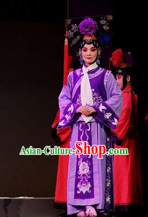 Chinese Beijing Opera Imperial Consort Apparels Costumes and Headdress Nan Hai Zi Traditional Peking Opera Qing Dynasty Purple Dress Court Maid Garment