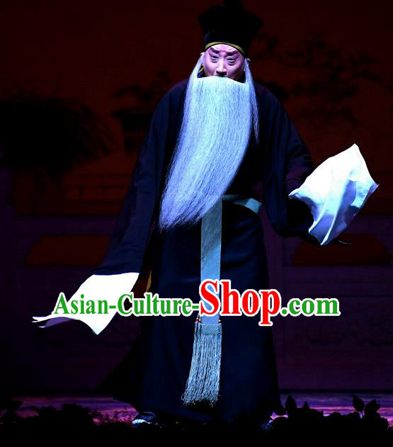 Tell On Sargam Chinese Peking Opera Elderly Male Garment Costumes and Headwear Beijing Opera Laosheng Apparels Old Servant Zhang Zhong Clothing