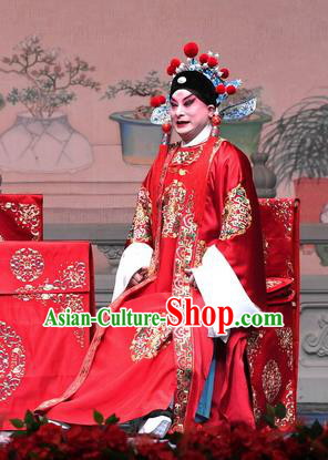 Tell On Sargam Chinese Peking Opera Young Male Garment Costumes and Headwear Beijing Opera Scholar Apparels Bridegroom Chen Guangzu Clothing