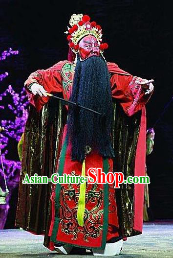 Ru Ji Chinese Peking Opera Lord Xinling Garment Costumes and Headwear Beijing Opera Laosheng Apparels King Clothing