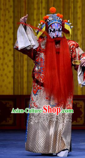 Yao Qi Chinese Peking Opera Elderly Official Garment Costumes and Headwear Beijing Opera Laosheng Apparels Minister Python Embroidered Robe Clothing
