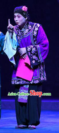 Chinese Beijing Opera Woman Matchmaker Apparels Costumes and Headdress Love of Jade Hairpin Traditional Peking Opera Elderly Female Dress Garment