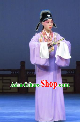 Tao Li Mei Chinese Ping Opera Scholar Hong Xueqin Costumes and Hat Pingju Opera Young Male Purple Robe Apparels Clothing