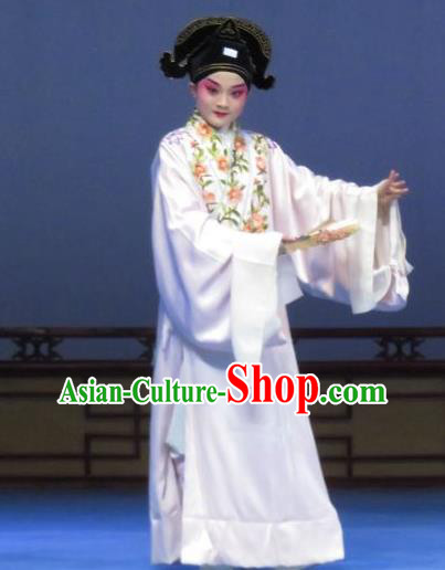 Tao Li Mei Chinese Ping Opera Young Male Zheng Shipeng Costumes and Hat Pingju Opera Scholar Apparels Clothing