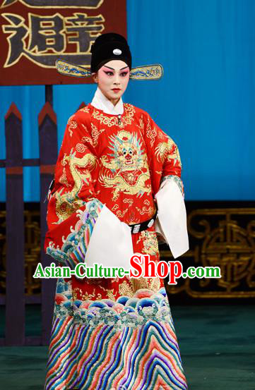 Xie Yaohuan Chinese Peking Opera Official Garment Costumes and Headwear Beijing Opera Young Male Apparels Python Embroidered Robe Clothing
