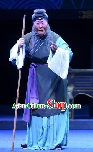 Chinese Ping Opera Pantaloon Apparels Costumes and Headpieces Da Song Zhong Yi Zhuan Traditional Pingju Opera Laodan Dress Garment