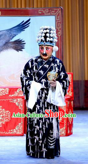 Nine Dragons Cup Chinese Peking Opera Clown Garment Costumes and Headwear Beijing Opera Chou Role Apparels Robber Clothing