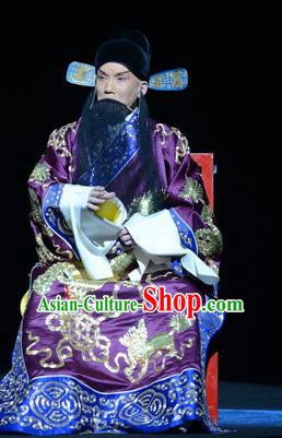 On A Wall and Horse Chinese Peking Opera Elderly Man Garment Costumes and Headwear Beijing Opera Old Gentleman Apparels Minister Pei Xingjian Clothing