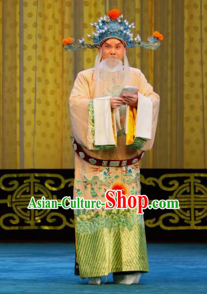 Chained Traps Chinese Peking Opera Elderly Male Garment Costumes and Headwear Beijing Opera Apparels Minister Clothing