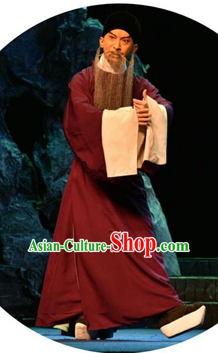 Qing Tian Dao Chinese Peking Opera Hai Rui Garment Costumes and Headwear Beijing Opera Loyal Official Apparels Elderly Male Clothing