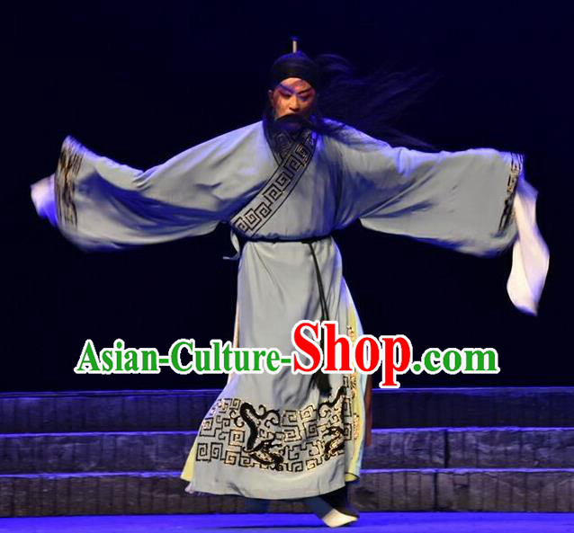 Qing Tian Dao Chinese Peking Opera Elderly Male Hai Rui Garment Costumes and Headwear Beijing Opera Laosheng Apparels Clothing