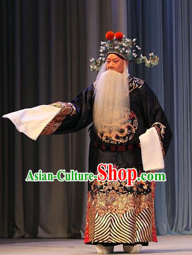 Ba Zhen Tang Chinese Peking Opera Old Official Zhang Wenda Garment Costumes and Headwear Beijing Opera Elderly Male Apparels Clothing