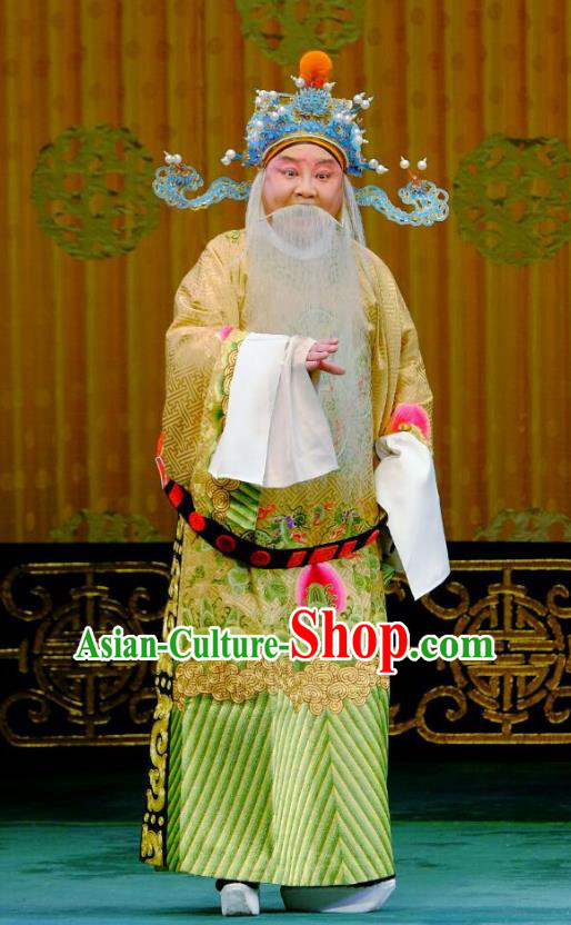 Ba Zhen Tang Chinese Peking Opera Laosheng Garment Costumes and Headwear Beijing Opera Jing Role Apparels Official Zhang Wenda Clothing