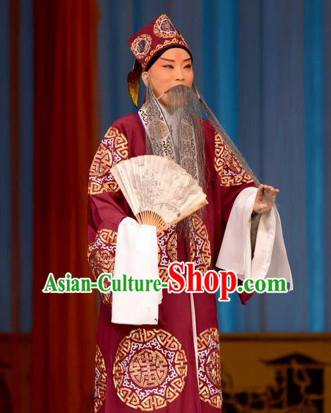 Zhu Sha Zhi Chinese Peking Opera Old Man Garment Costumes and Headwear Beijing Opera Laosheng Apparels Prefecture Han Tingfeng Clothing