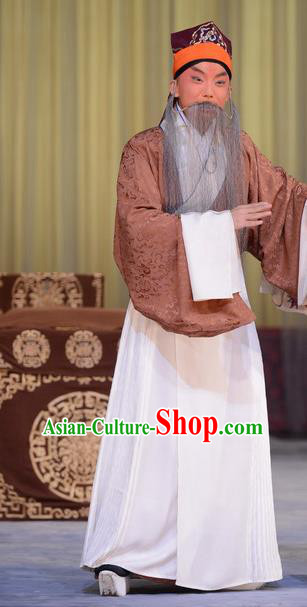 Hong Yang Dong Chinese Peking Opera Old Gentleman Garment Costumes and Headwear Beijing Opera Laosheng Apparels Elderly Male Yang Yanzhao Clothing