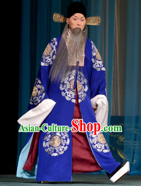 Hong Yang Dong Chinese Peking Opera Landlord Garment Costumes and Headwear Beijing Opera Elderly Male Apparels Official Yang Yanzhao Clothing