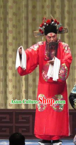 Qin Xianglian Chinese Ping Opera Official Chen Shimei Garment Costumes and Headwear Pingju Opera Elderly Male Apparels Clothing