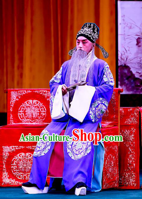 Shi Wen Hui Chinese Peking Opera Laosheng Garment Costumes and Headwear Beijing Opera Elderly Male Apparels Landlord Shen Zhong Clothing