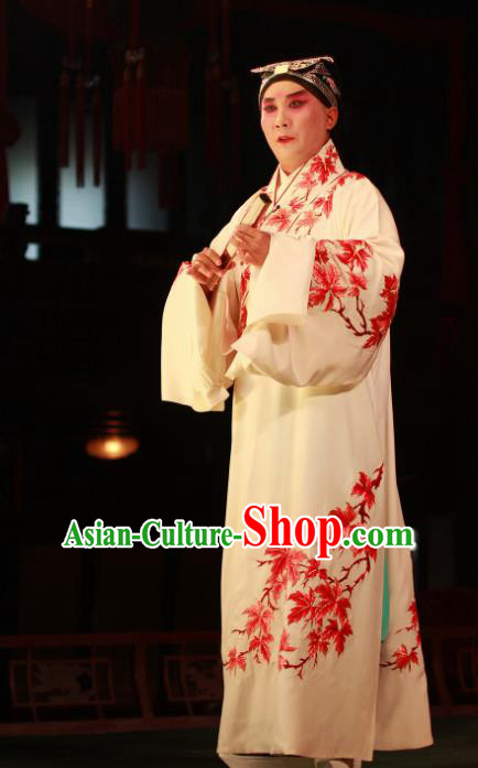 Shi Wen Hui Chinese Peking Opera Young Male Garment Costumes and Headwear Beijing Opera Xiaosheng Apparels Gifted Youth Xie Ying Clothing