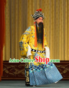 Xiao Yao Jin Chinese Peking Opera Xian Emperor Liu Xie Garment Costumes and Headwear Beijing Opera Elderly Male Apparels Clothing