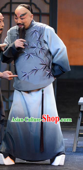 Imperial Envoy Chinese Peking Opera Qing Dynasty Scholar Garment Costumes and Headwear Beijing Opera Elderly Male Apparels Official Lin Zexu Clothing