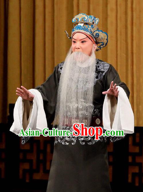 Xing Han Tu Chinese Peking Opera Laosheng Garment Costumes and Headwear Beijing Opera Old Man Apparels Official Zhang Cang Clothing