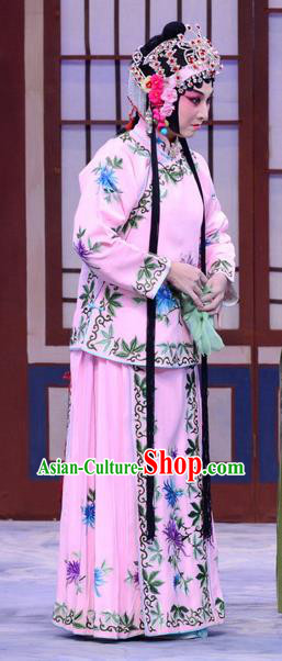 Chinese Beijing Opera Xiao Dan Apparels Liu Lanzhi Costumes and Headpieces Traditional Peking Opera Young Girl Pink Dress Garment