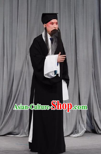 Wen Zhao Guan Chinese Peking Opera Elderly Male Garment Costumes and Headwear Beijing Opera Laosheng Wu Zixu Apparels Clothing