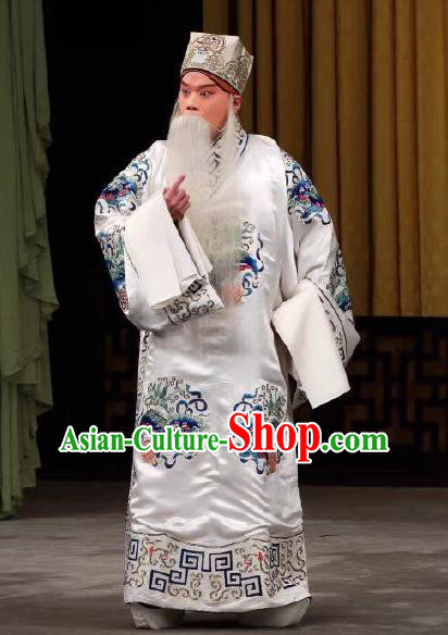 Xing Han Tu Chinese Peking Opera Official Garment Costumes and Headwear Beijing Opera Laosheng Apparels Old Minister Clothing