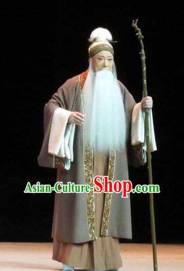 Saving Orphan Chinese Ping Opera Laosheng Garment Costumes and Headwear Pingju Opera Elderly Male Gongsun Chujiu Apparels Clothing