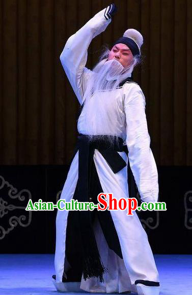 Bai Di Cheng Chinese Peking Opera Laosheng Liu Bei Garment Costumes and Headwear Beijing Opera Elderly Male Apparels Clothing