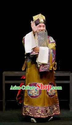 Shen Tou Ci Tang Chinese Peking Opera Elderly Male Garment Costumes and Headwear Beijing Opera Laosheng Apparels Official Lu Bing Clothing