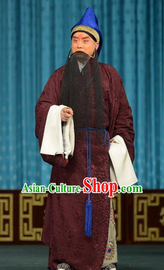 Chun Qiu Bi Chinese Peking Opera Laosheng Garment Costumes and Headwear Beijing Opera Apparels Elderly Male Wang Shaozhi Clothing