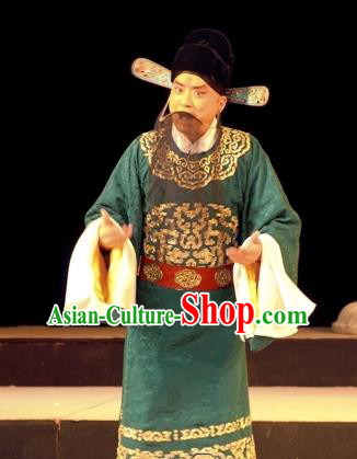Wu Zetian Chinese Peking Opera Scholar Luo Binwang Garment Costumes and Headwear Beijing Opera Elderly Male Apparels Laosheng Clothing