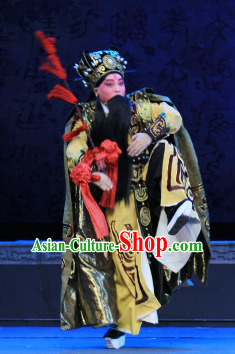 King Zhao Wuling Chinese Peking Opera Chancellor Fei Yi Garment Costumes and Headwear Beijing Opera Elderly Male Apparels Official Clothing