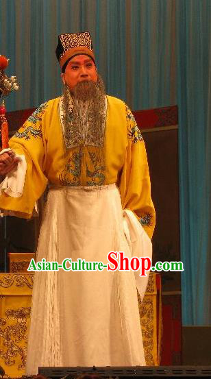 Fish and Algae Palace Chinese Peking Opera Laosheng Garment Costumes and Headwear Beijing Opera Elderly Male Apparels Emperor Liu Bang Clothing