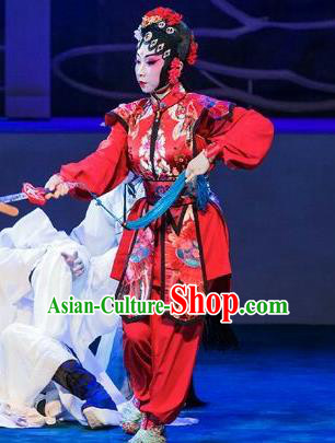 Chinese Beijing Opera Female Swordsman Red Apparels Lan Ruo Wu Geng Costumes and Headdress Traditional Peking Opera Wudan Dress Heroine Garment