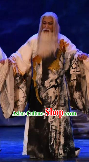 Da Shun Chinese Peking Opera Laosheng Garment Costumes and Headwear Beijing Opera Elderly Male Apparels Emperor Shun Clothing