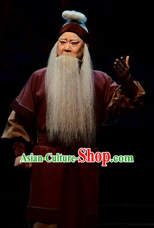 Qi Nv Wu Rong Chinese Peking Opera Laosheng Garment Costumes and Headwear Beijing Opera Elderly Male Apparels Clothing